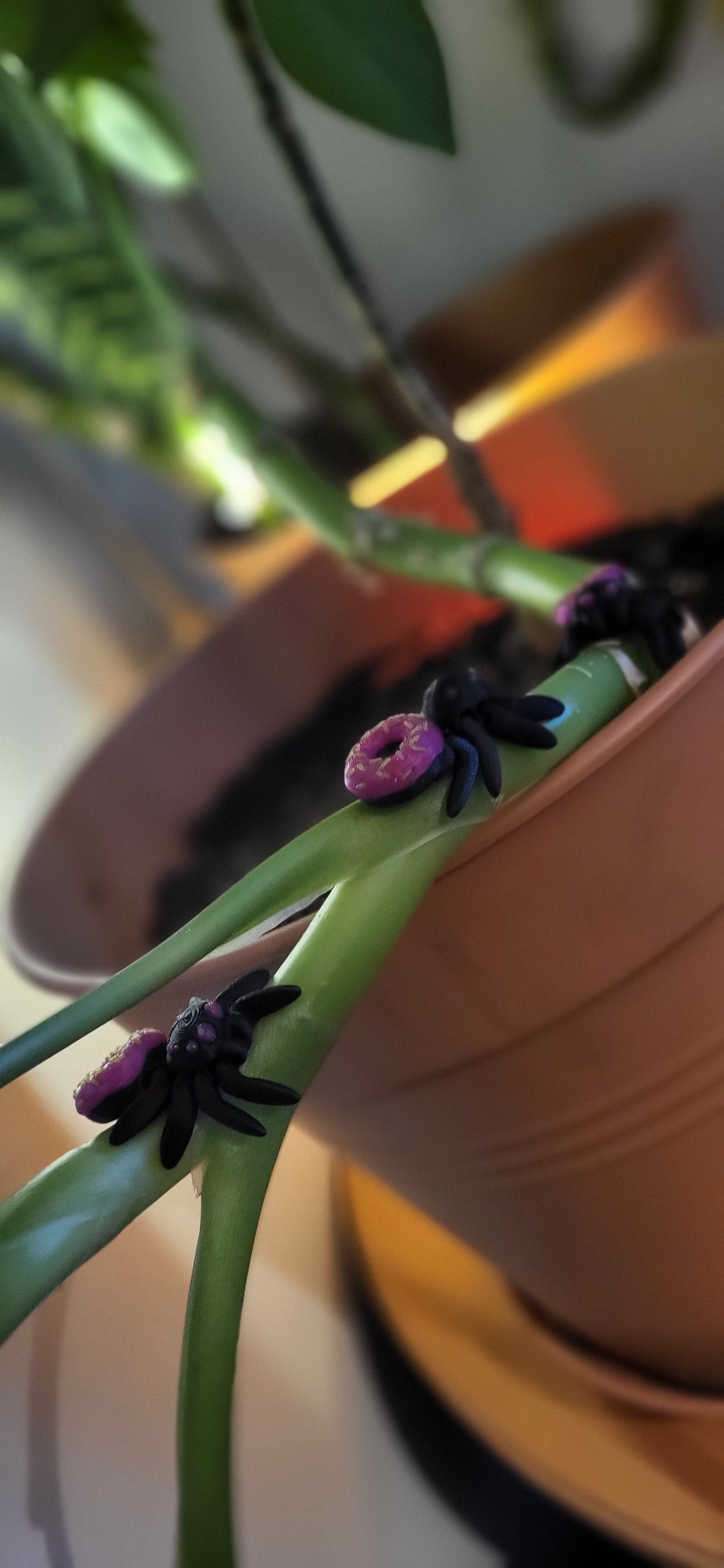 🕷️ Donut Spindel – Söt & Läskig i Perfekt Kombo! 🍩
