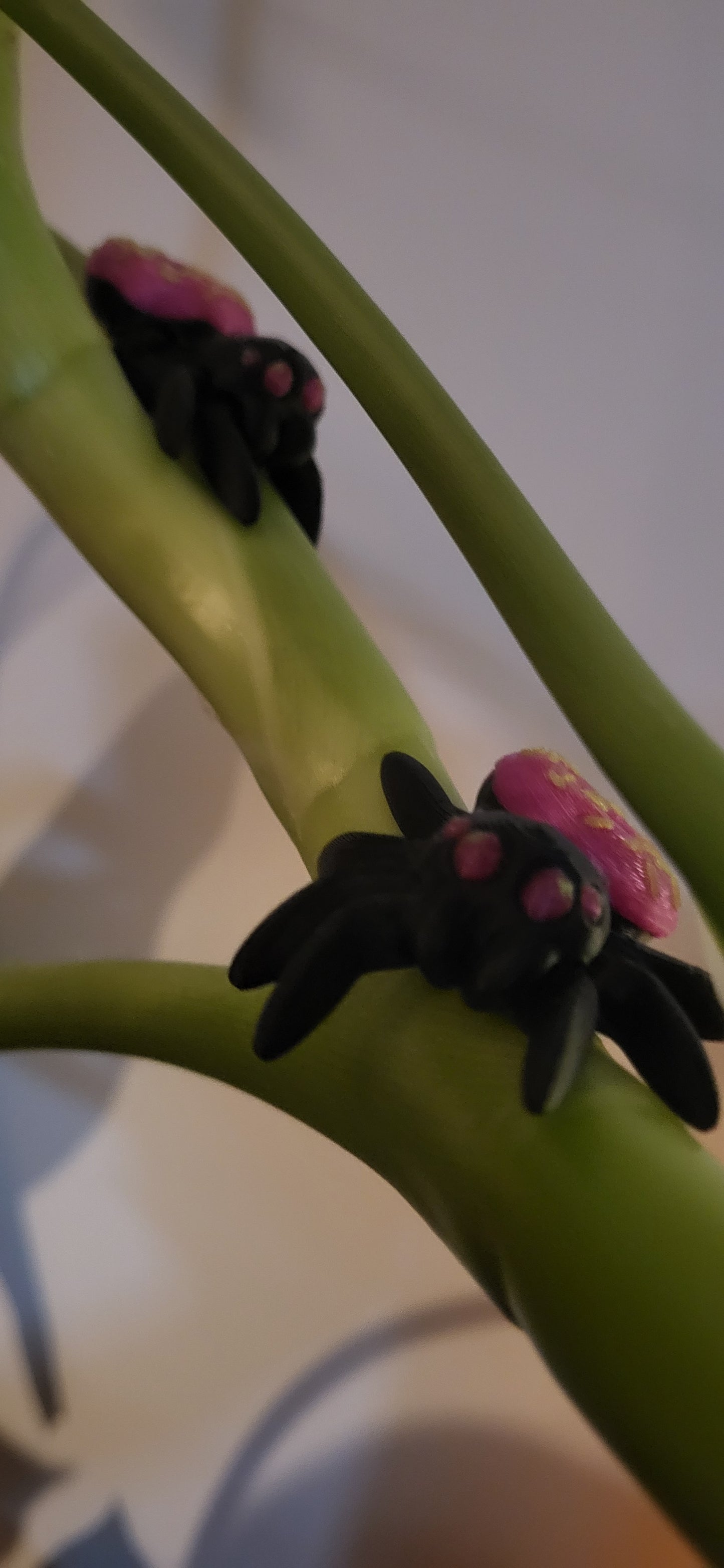 🕷️ Donut Spindel – Söt & Läskig i Perfekt Kombo! 🍩