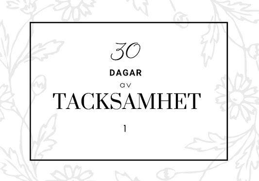 DAGBOK - 30 Dagar av Tacksamhet 1